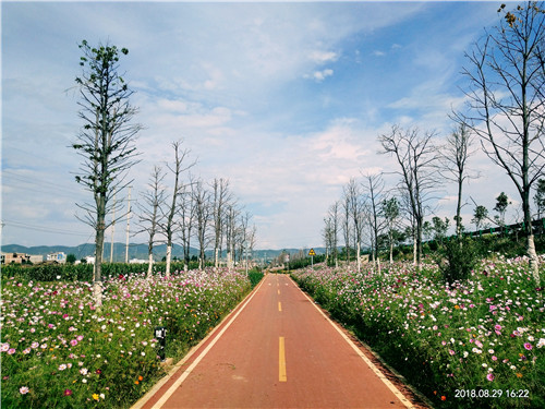 園冶杯專業獎：云南昭通大山包綠道工程項目