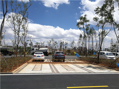 園冶杯專業獎:云南昭通大山包綠道工程項目