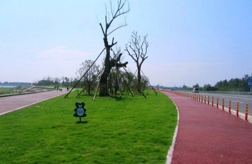 園冶杯專業獎:環巢湖旅游大道