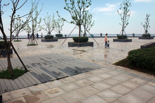 園冶杯專業獎:環巢湖旅游大道