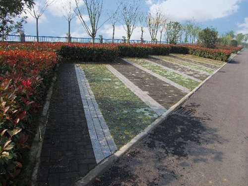 園冶杯專業獎:環巢湖旅游大道