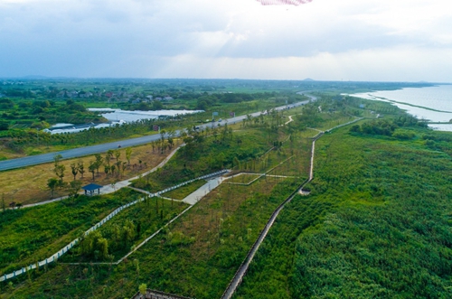 園冶杯專業獎:環巢湖旅游大道