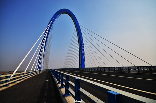 園冶杯專業獎:環巢湖旅游大道