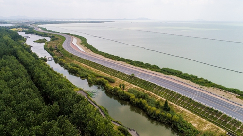 園冶杯專業獎:環巢湖旅游大道