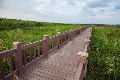 園冶杯專業獎:環巢湖旅游大道