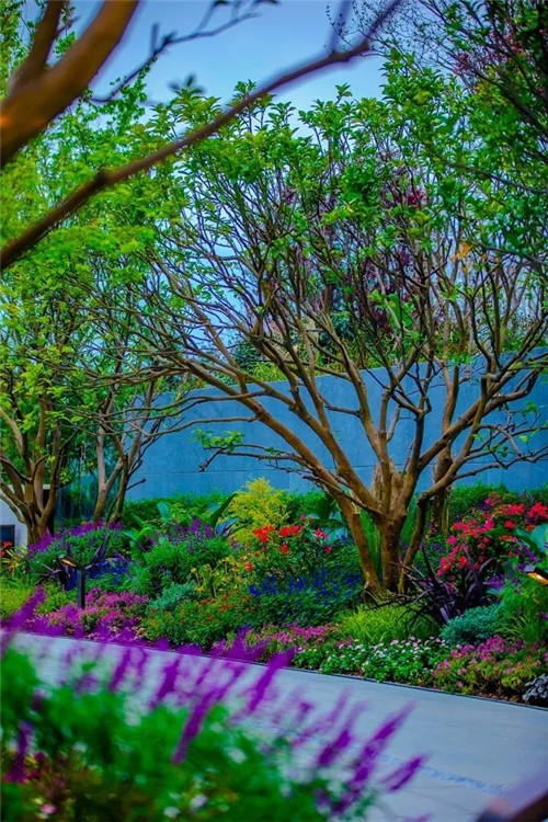 傳習東方 美學演繹——金科龍里東方的新中式情懷