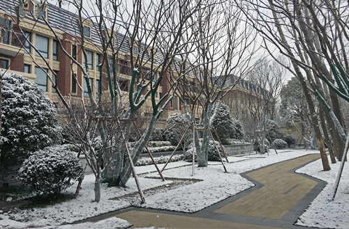 園冶杯專業獎：長發都市.諸公