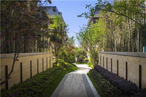 園冶杯專業獎：長發都市.諸公