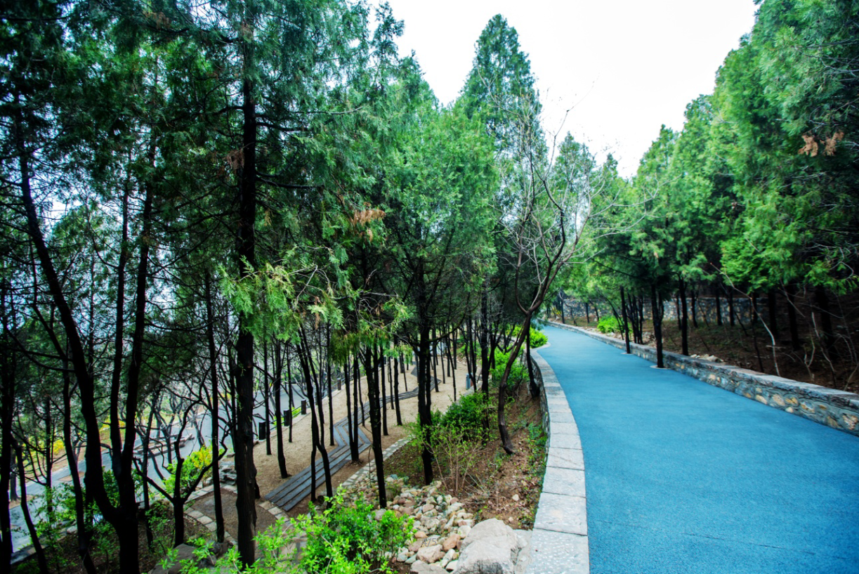 園冶杯專業獎：金雞嶺景區建設項目設計