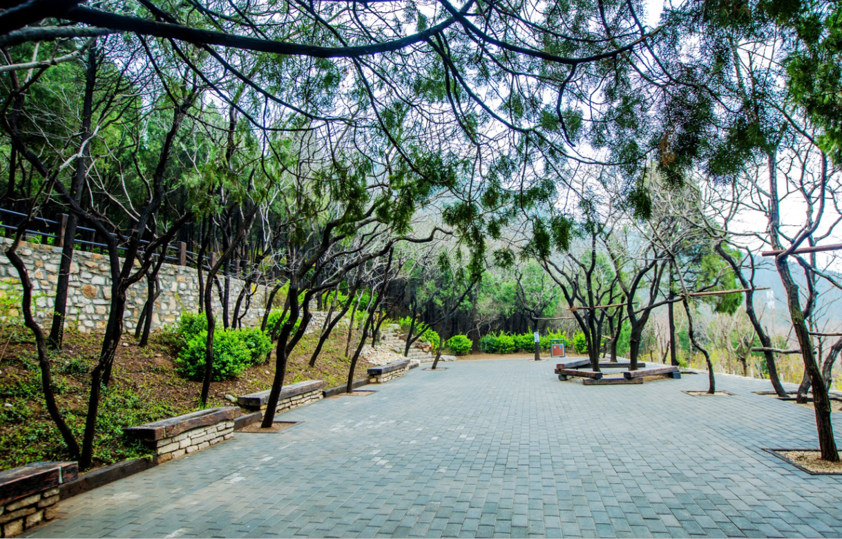 園冶杯專業獎：金雞嶺景區建設項目設計