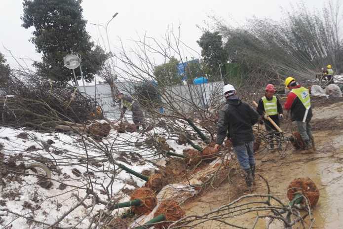 園冶杯專業(yè)獎:常德桃花源芙蓉公園景觀工程