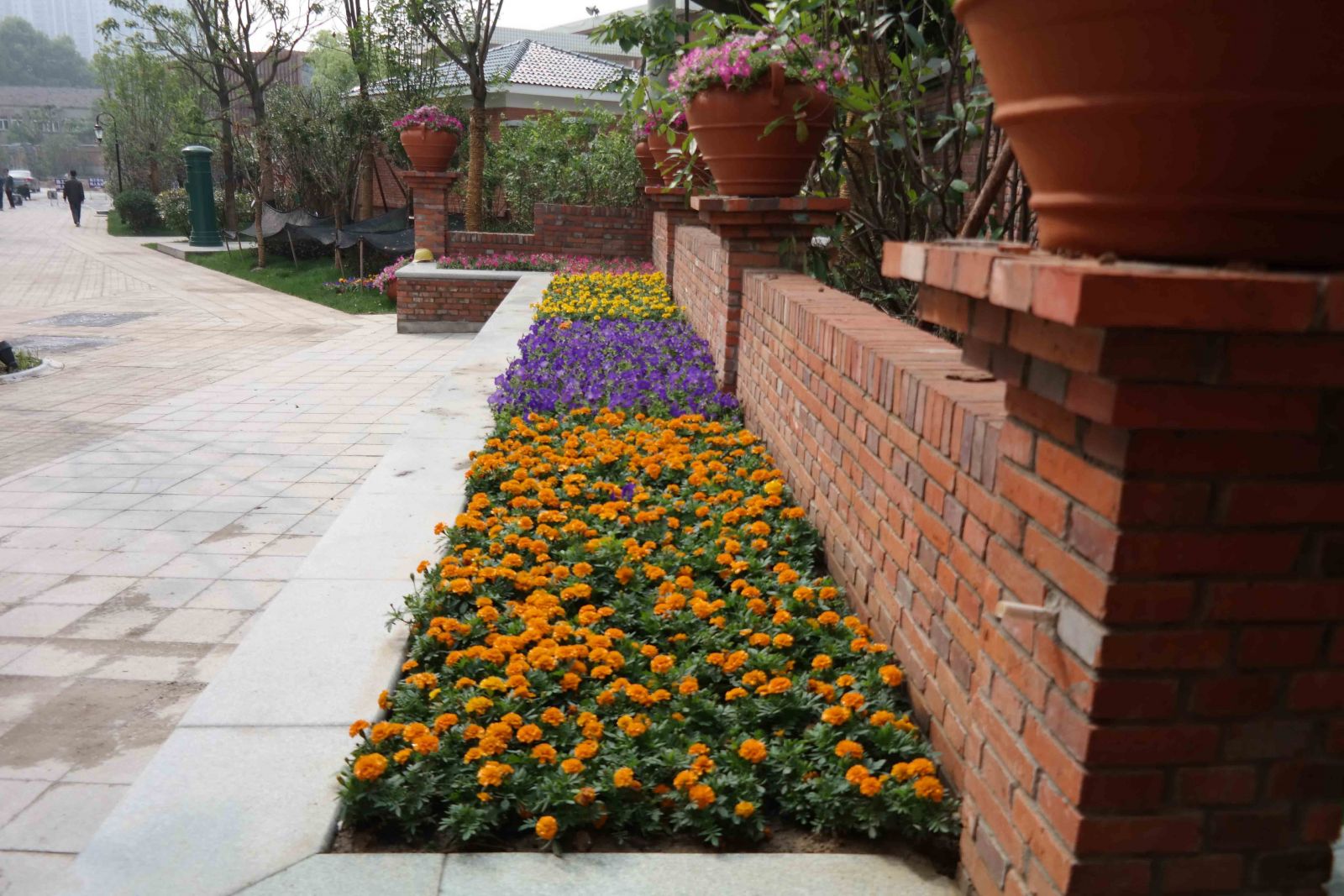 園冶杯專業(yè)獎(jiǎng):銀屏街景觀綠化提升工程