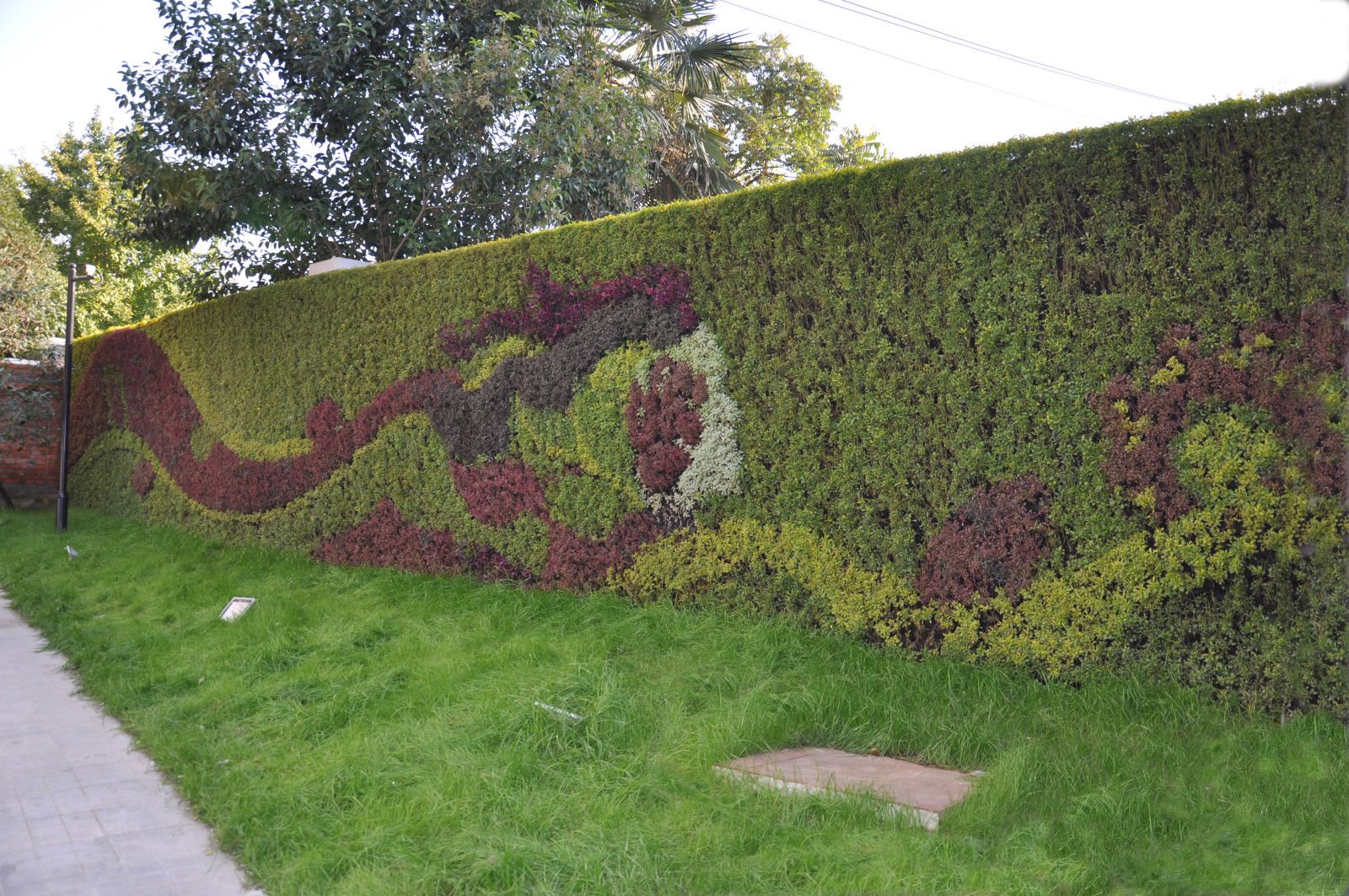 園冶杯專業(yè)獎(jiǎng):銀屏街景觀綠化提升工程