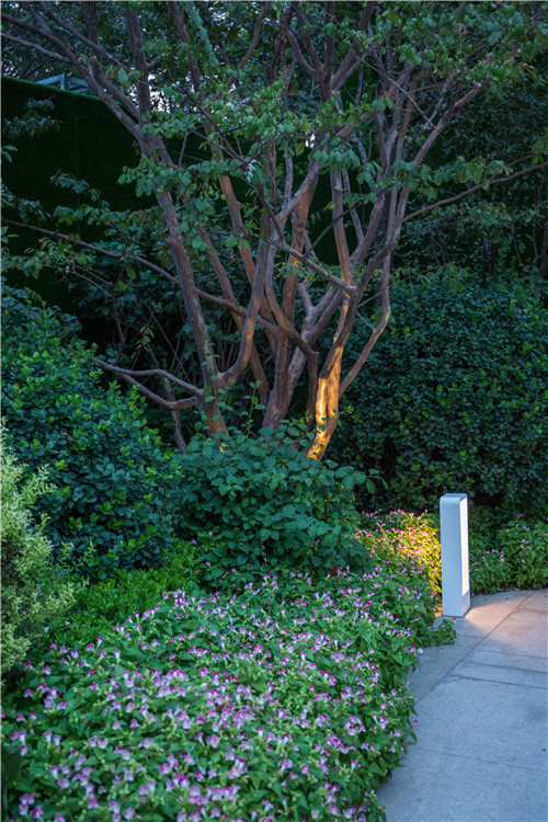 園冶杯專業獎：遠洋黃村頤璟萬和景觀設計