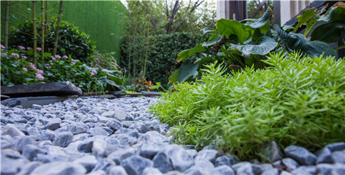 園冶杯專業獎：遠洋黃村頤璟萬和景觀設計