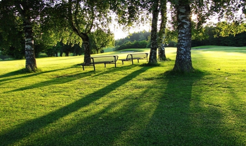 園冶杯專業獎:一碗水后街坡地公園景觀方案設計