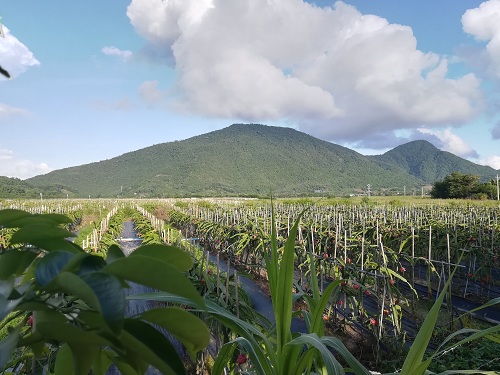 園冶杯專業獎:雅林村美麗鄉村綜合改造項目