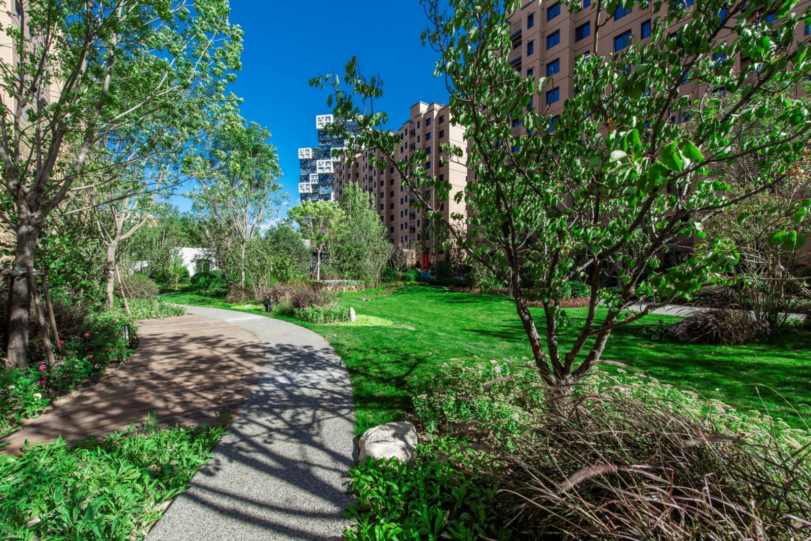 園冶杯專業獎：澤信公館項目景觀設計