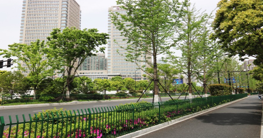 園冶杯專業(yè)獎:新塘路(新風路-新業(yè)路)綜合整治工程景觀綠化Ⅰ標段