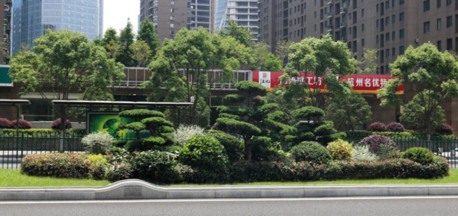 園冶杯專業(yè)獎:新塘路(新風路-新業(yè)路)綜合整治工程景觀綠化Ⅰ標段