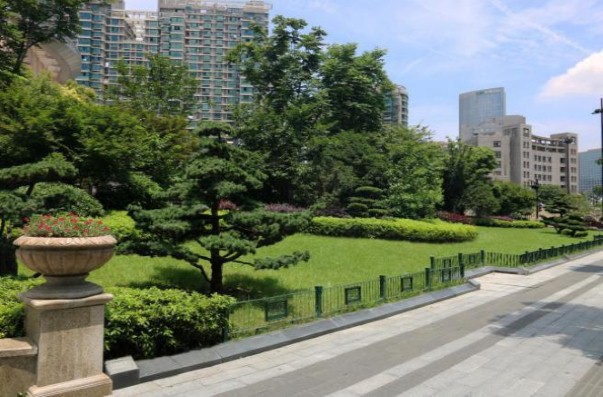 園冶杯專業(yè)獎:新塘路(新風路-新業(yè)路)綜合整治工程景觀綠化Ⅰ標段