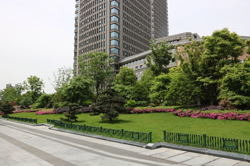 園冶杯專業(yè)獎:新塘路(新風路-新業(yè)路)綜合整治工程景觀綠化Ⅰ標段