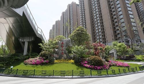 園冶杯專業(yè)獎:新塘路(新風路-新業(yè)路)綜合整治工程景觀綠化Ⅰ標段