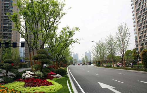 園冶杯專業(yè)獎:新塘路(新風路-新業(yè)路)綜合整治工程景觀綠化Ⅰ標段