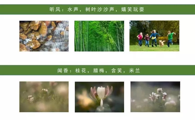 園冶杯專業(yè)獎:聯(lián)投·棲夢臺示范區(qū)