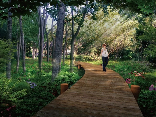 園冶杯專業獎:青島市普寧路游園景觀工程