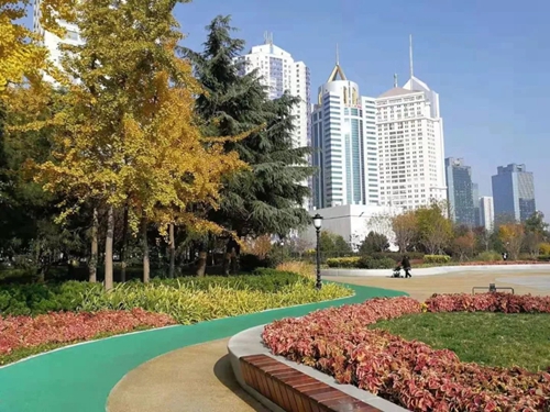 園冶杯專業獎:青島市普寧路游園景觀工程