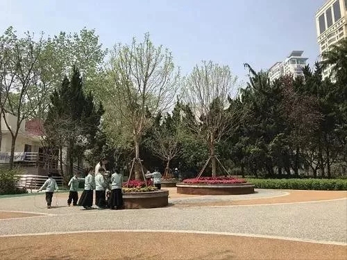 園冶杯專業獎:青島市普寧路游園景觀工程