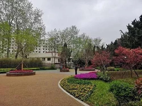 園冶杯專業獎:青島市普寧路游園景觀工程