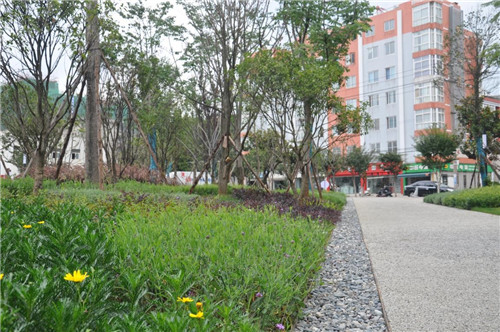 云南省第一座會呼吸的“海綿體育公園”