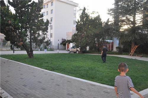 云南省第一座會呼吸的“海綿體育公園”