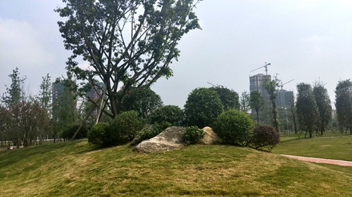 園冶杯專業(yè)獎:資陽高新區(qū)中韓創(chuàng)新創(chuàng)業(yè)園資陽基地華西牙科產(chǎn)業(yè)園景觀工程