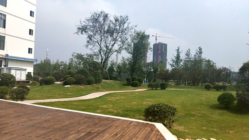 園冶杯專業(yè)獎:資陽高新區(qū)中韓創(chuàng)新創(chuàng)業(yè)園資陽基地華西牙科產(chǎn)業(yè)園景觀工程