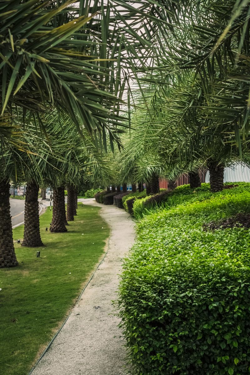 園冶杯專業獎：M公園畫廊