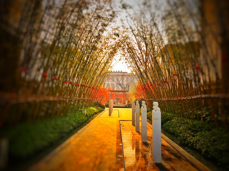 園冶杯專業獎:建業海馬九如府