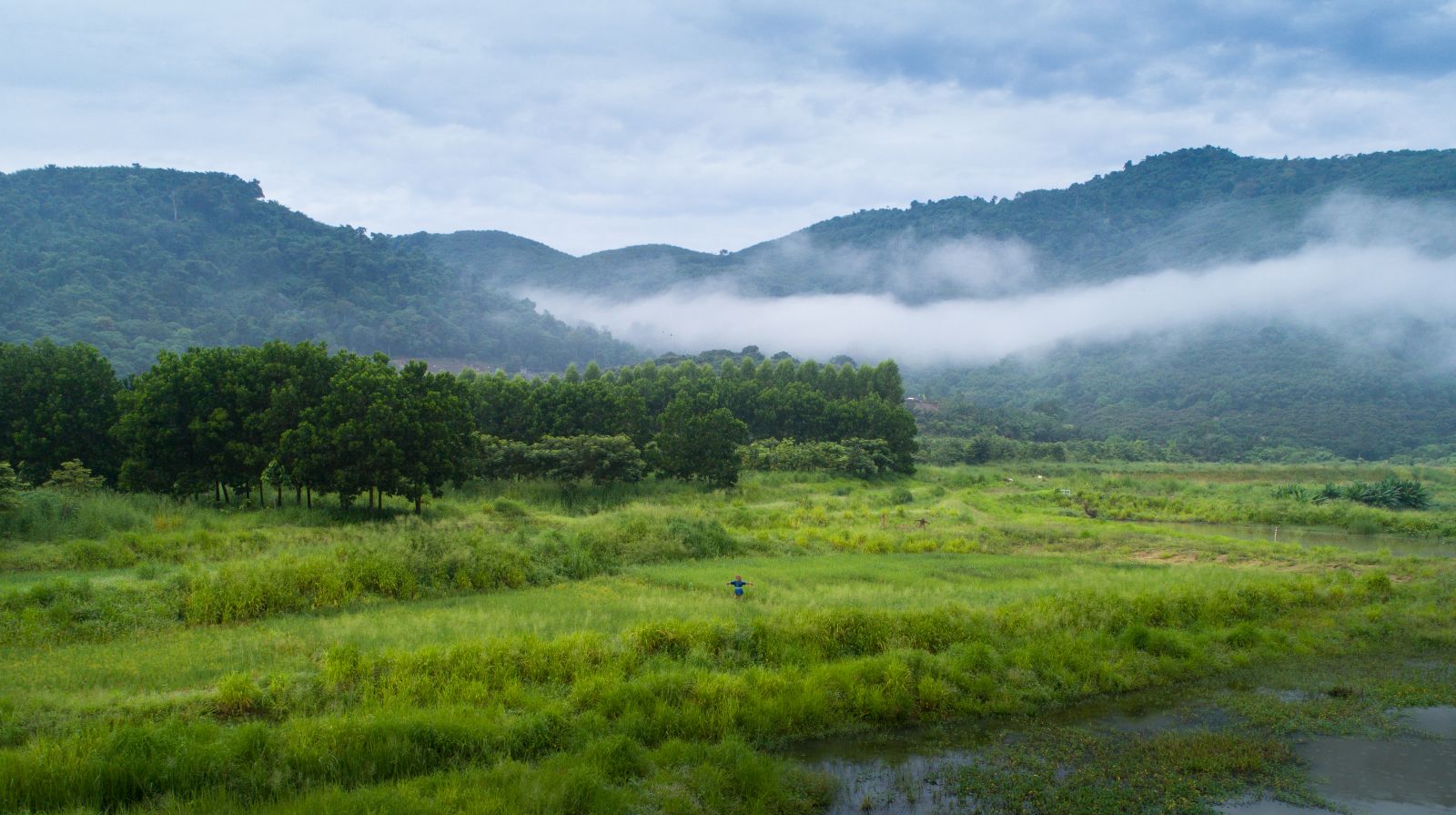 園冶杯專業獎：泰國Wangchan森林