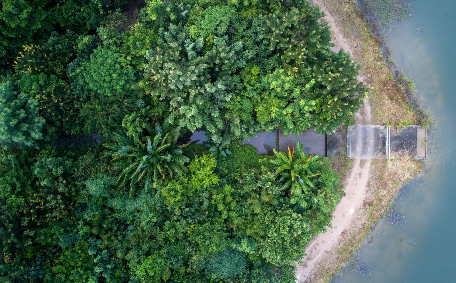 園冶杯專業獎：泰國Wangchan森林