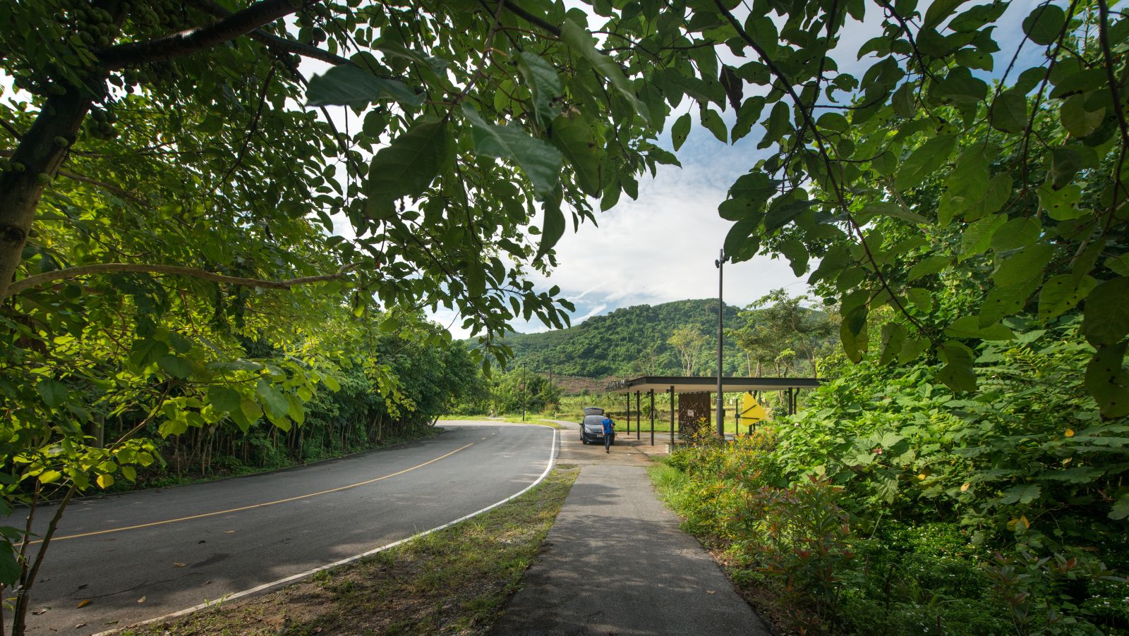園冶杯專業獎：泰國Wangchan森林