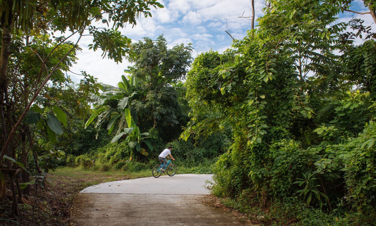 園冶杯專業獎：泰國Wangchan森林