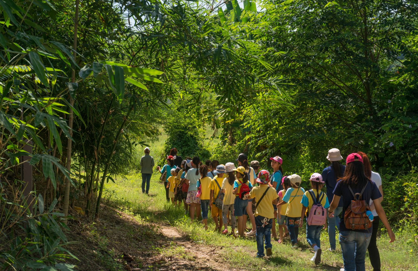 園冶杯專業獎：泰國Wangchan森林