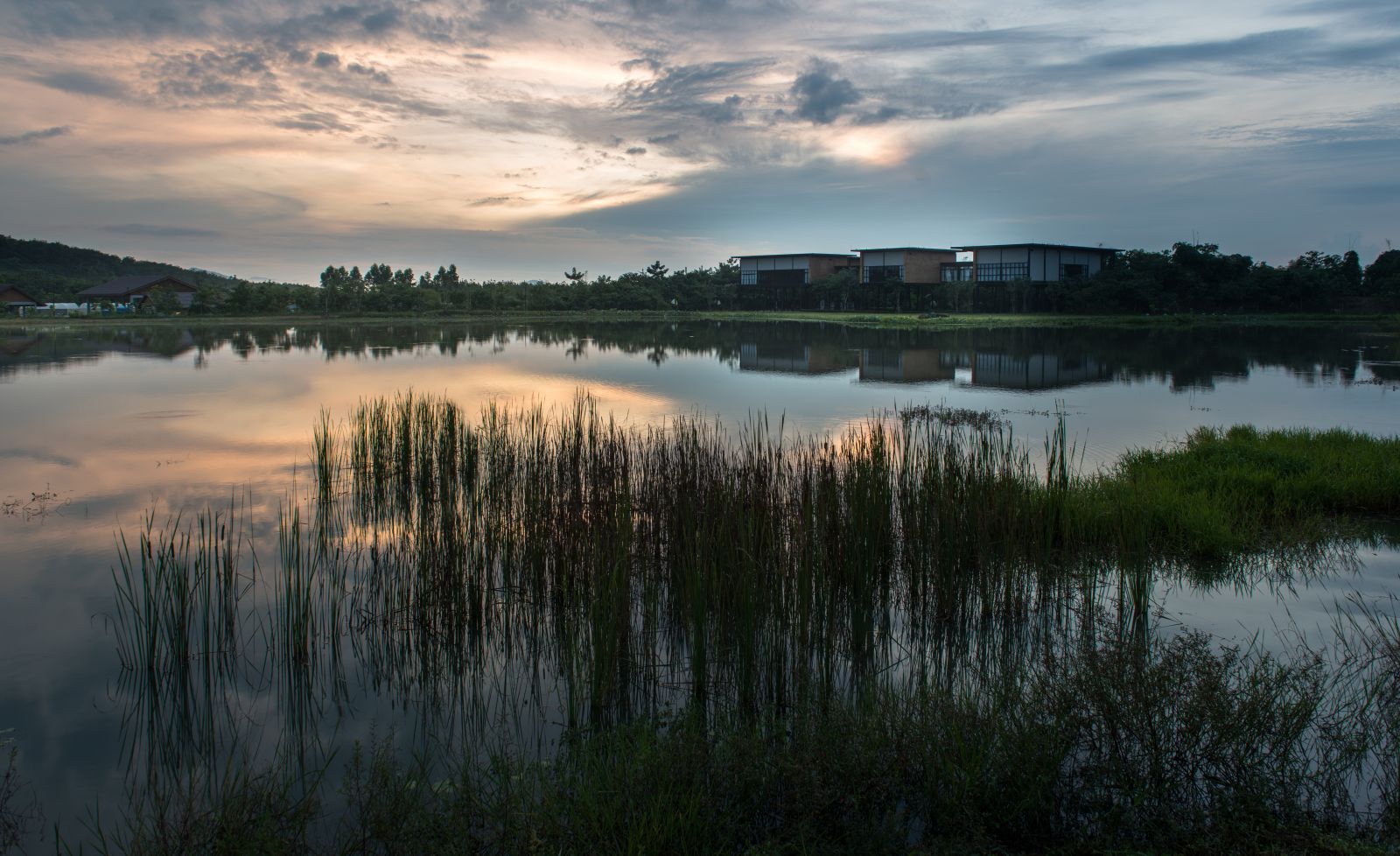 園冶杯專業獎：泰國Wangchan森林
