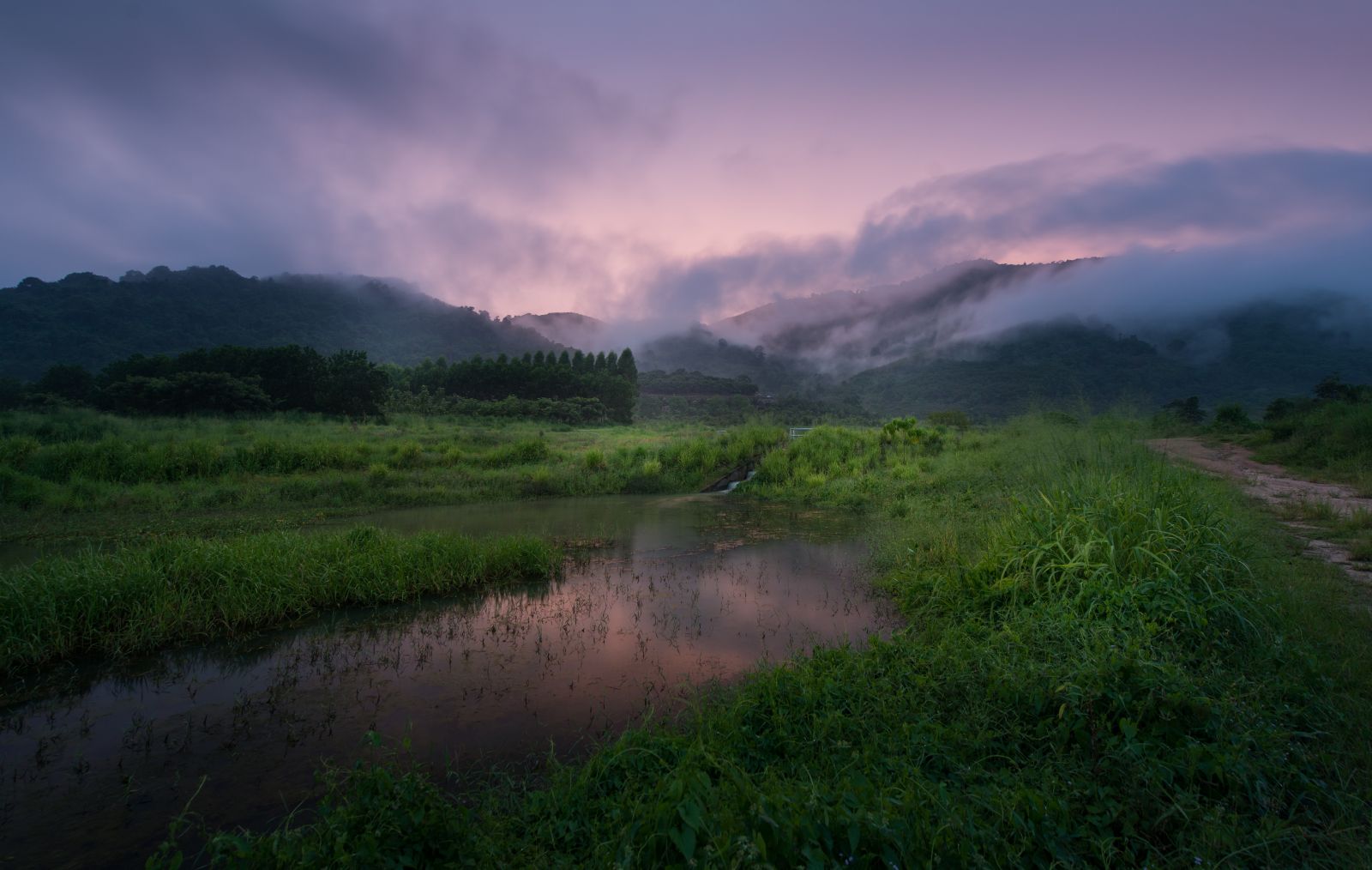 園冶杯專業獎：泰國Wangchan森林