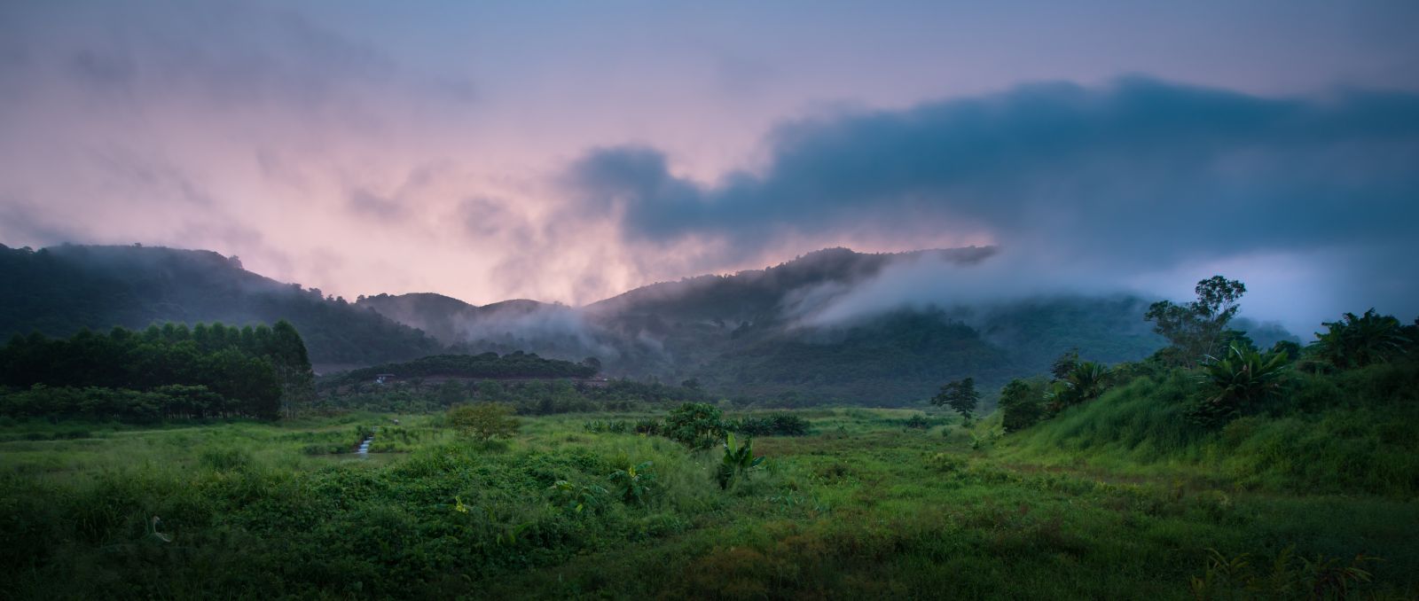 園冶杯專業獎：泰國Wangchan森林