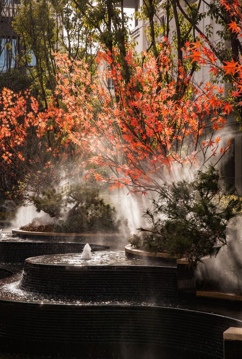 園冶杯專業獎:建業海馬九如府