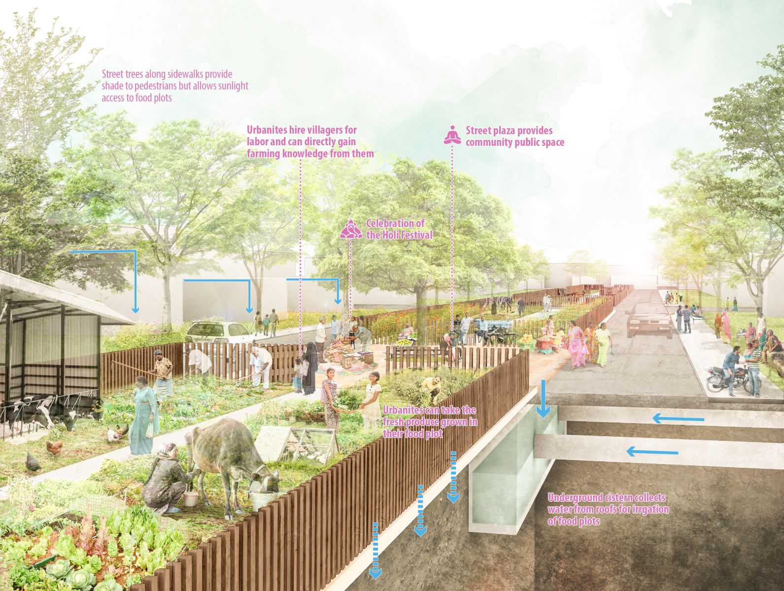 園冶杯專業獎：Sector34 Masterplan