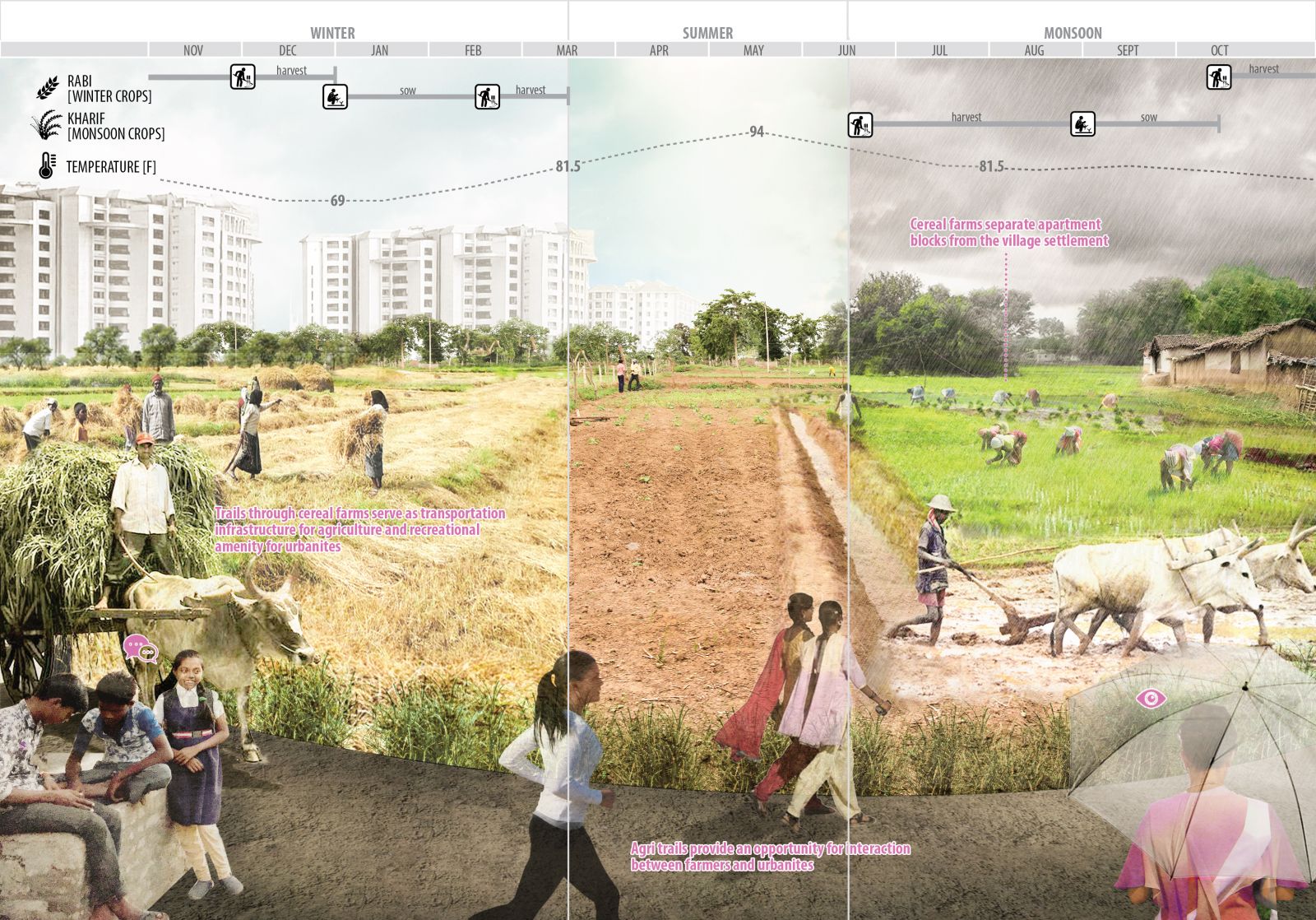 園冶杯專業獎：Sector34 Masterplan